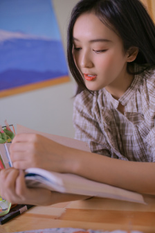 盗火线电视剧